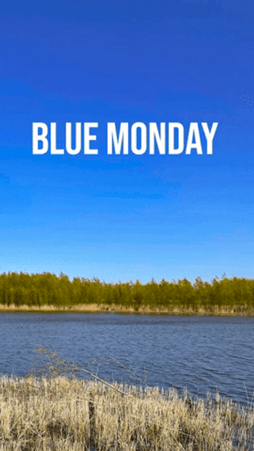 Manic Monday Came Out Of The Blue GIF
