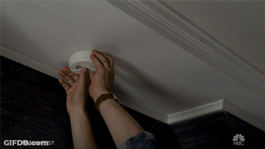 Manifest Looking For Something GIF
