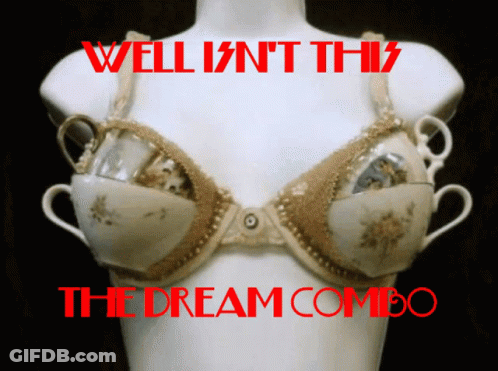 Mannequin Wearing Bra Made Of Tea Cups Well Isn't This The Dream Combo GIF