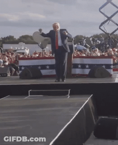 Many Men On Donald Trump March GIF