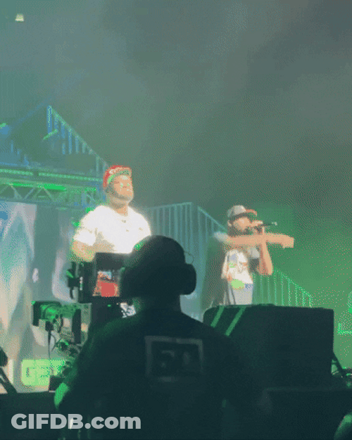 Many Men Vibing Concert GIF