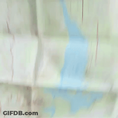 Map Nature Explorer Guy Explaining GIF