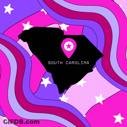 Map Of South Carolina With Pink Star Pin GIF