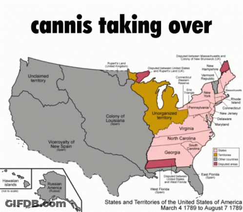 Map Of United States Saying Cannabis Taking Over GIF