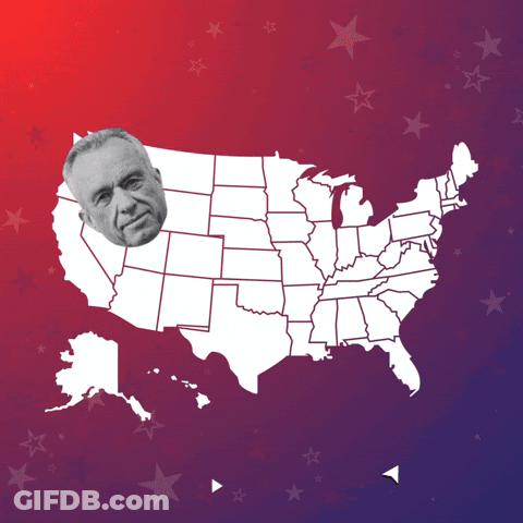 Map Of USA With Empowering The Future Of Digital Finance GIF