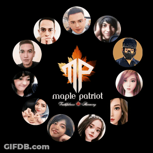 Maple Patriot Team GIF