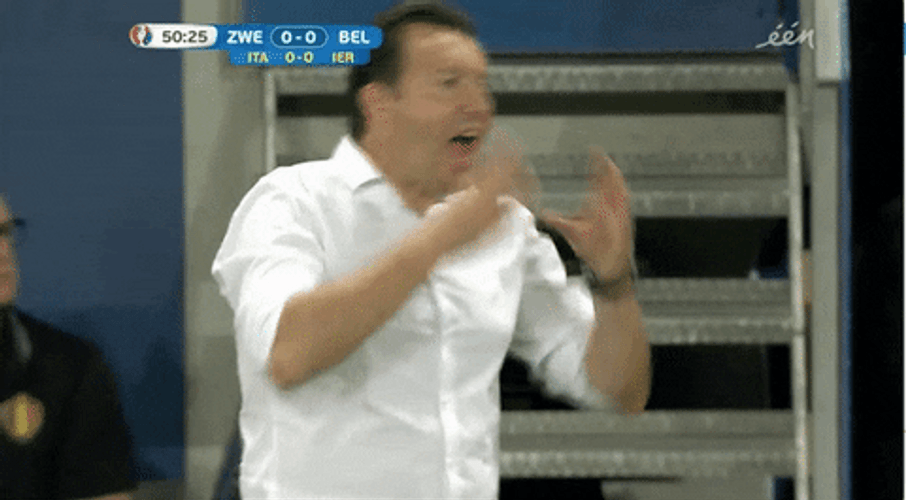 Marc Wilmots During Sweden Football GIF
