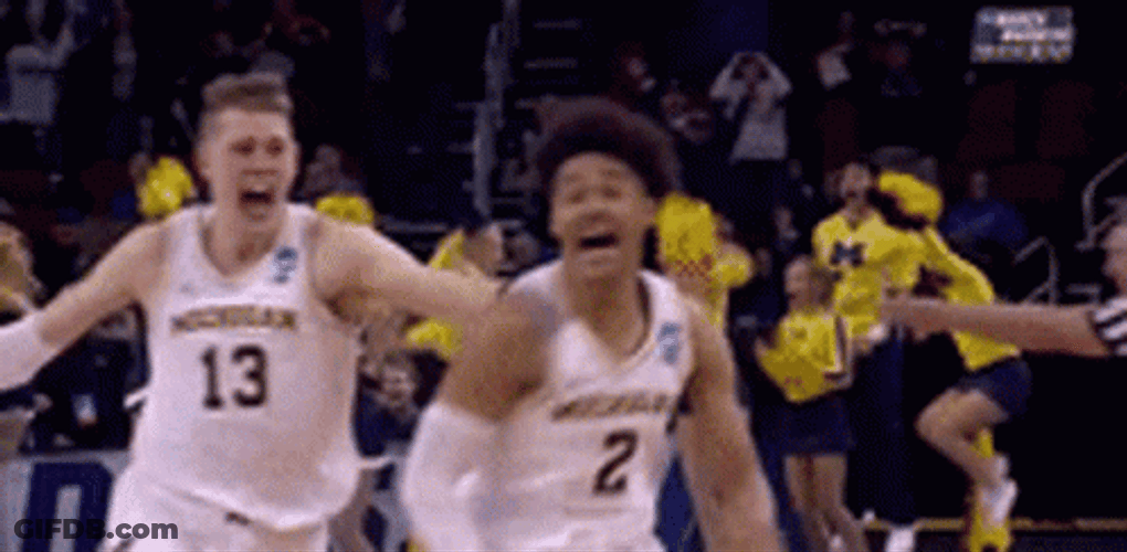 March Madness Team Michigan GIF