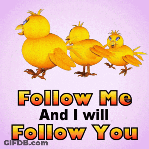Marching Chicks Follow Me And I Will Follow You GIF