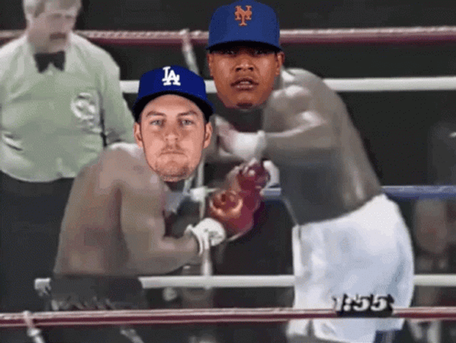 Marcus Stroman Trevor Bauer Boxing GIF