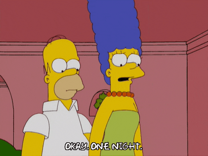 Marge And Homer Simpson Okay One Night GIF