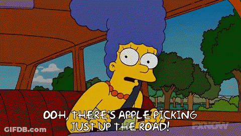Marge Simpson In Car Saying Ooh There's Apple Picking Just Up The Road GIF