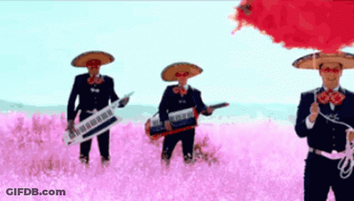 Mariachi Players Playing Instruments In Pink Flower Field GIF