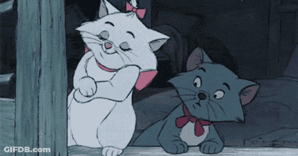 Marie Cat GIF