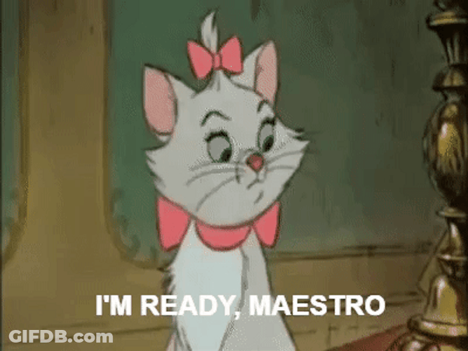 Marie Im Ready Maestro GIF
