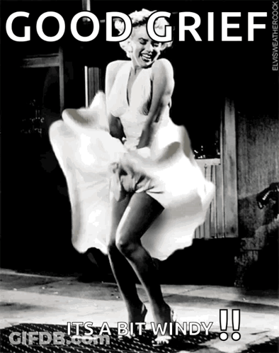 Marilyn Monroe Saying Good Grief It's Windy GIF