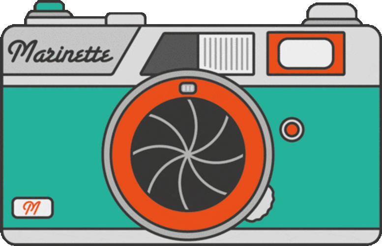Marinette Vintage Film Camera Artwork GIF