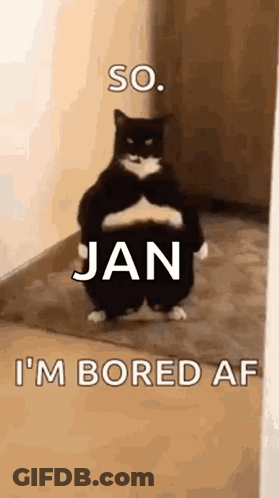Mario Day GIF