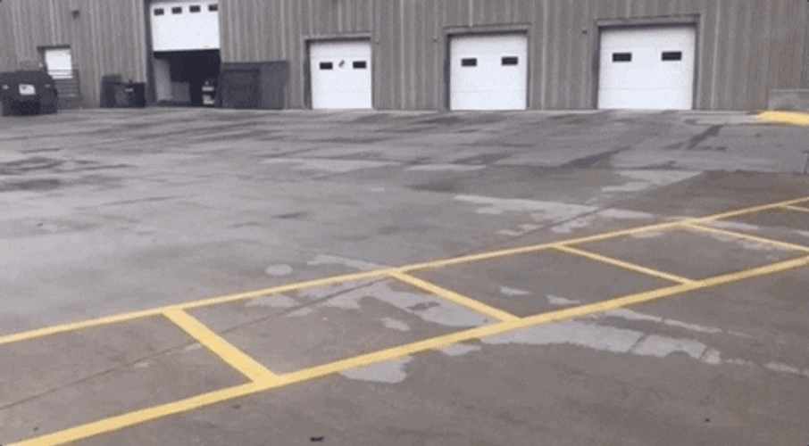 Mario Kart Puppy Cart GIF