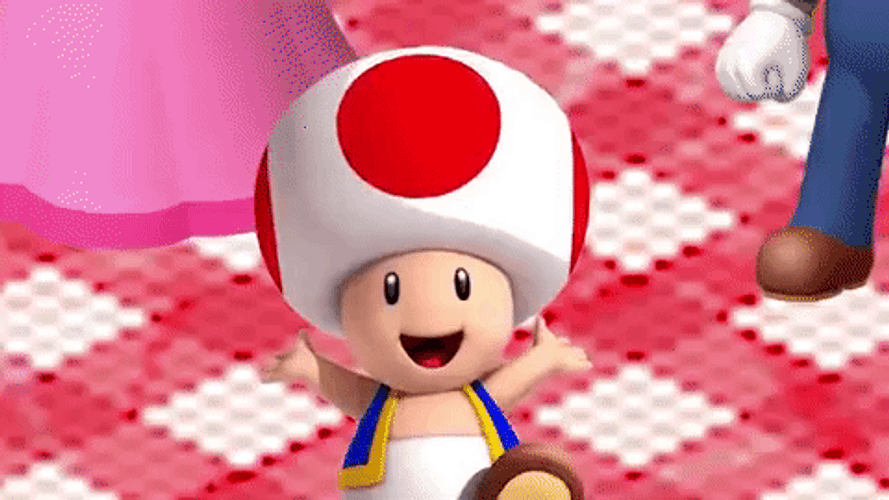 Mario Mushroom Toad Happy Face Zoom GIF