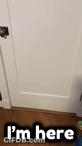 Mario Puppet Behind Glass Door Saying I'm Here GIF