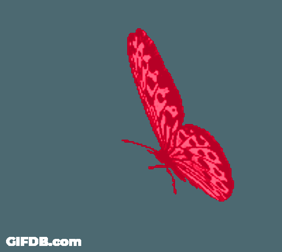 Mariposa Sticker GIF