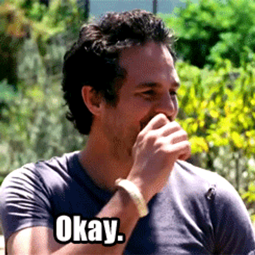 Mark Ruffalo Okay Meme GIF