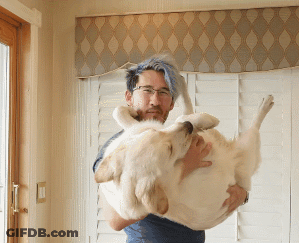 Markiplier Carrying His Dog GIF