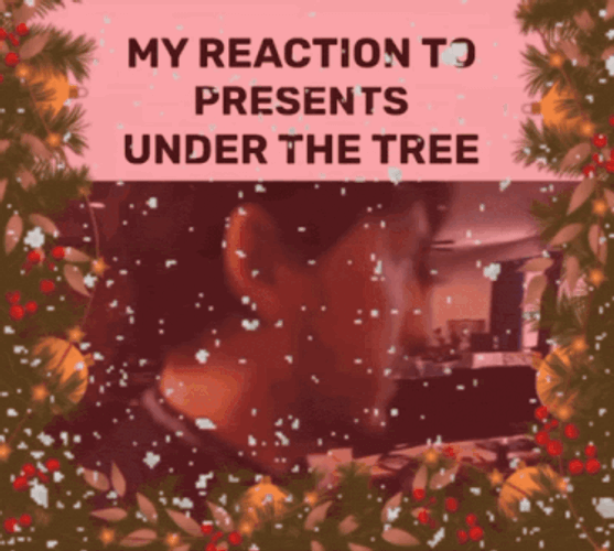 Markiplier Christmas GIF