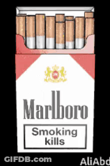 Marlboro Cigarettes Smoking Kills GIF