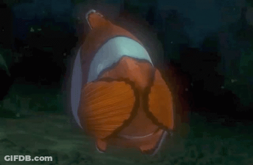 Marlin Clownfish GIF