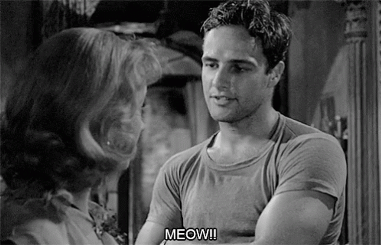 Marlon Brando And Vivien Leigh Movie GIF