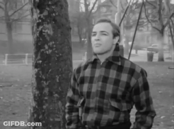Marlon Brando On The Waterfront Movie GIF