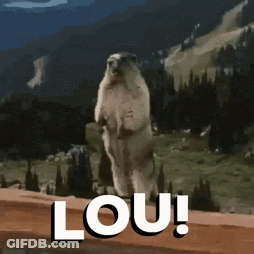 Marmot Standing In Front Of Lou Sign GIF