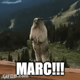 Marmot Standing In Front Of Mountain Saying Marc GIF