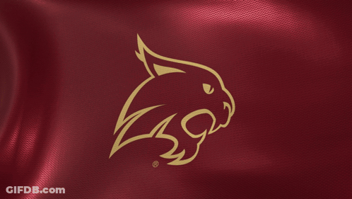 Maroon Background With Gold Cat Logo GIF