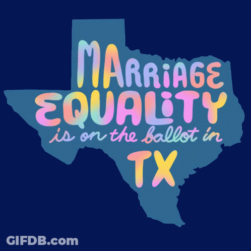 Marriage Equality Ballot Sign Texas GIF