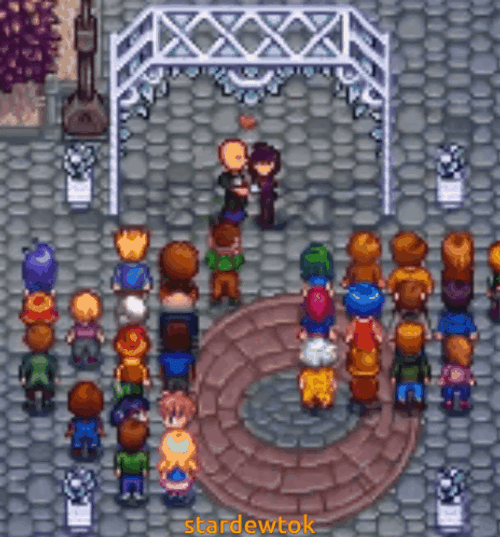 Marriage In Stardew Valley GIF