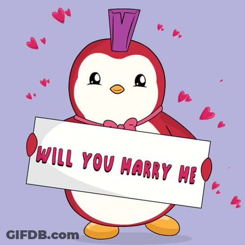 Marry Me Pudgy Penguins GIF