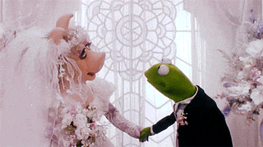 Marrying Kermit Falling Off Building GIF