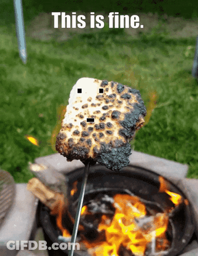 Marshmallow Cooking Over Fire This Is Fine GIF
