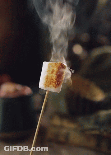 Marshmallow Roasting On Stick GIF
