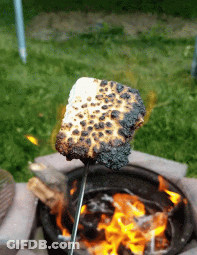 Marshmallow Roasting Over Fire GIF