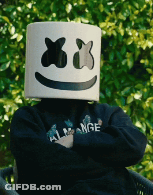 Marshmello Totally Agree GIF