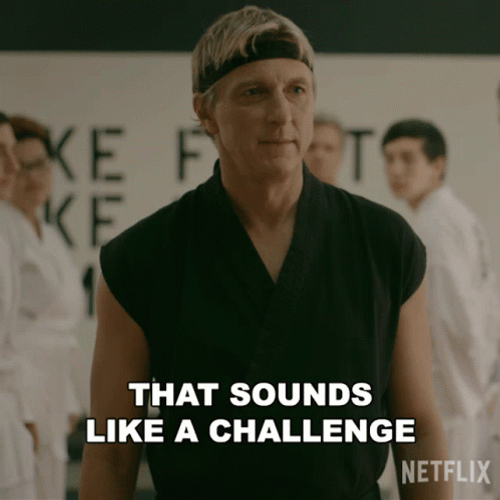 Martial Arts Challenge Accepted GIF