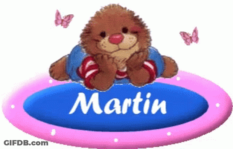 Martin Cute Bear Animals GIF