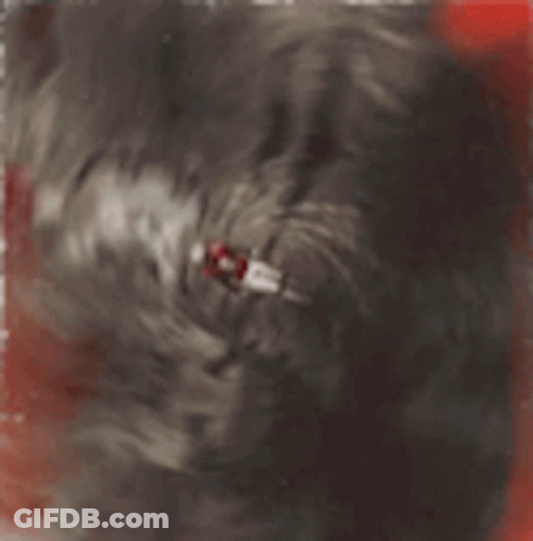 Martinez Number 2 Jersey Close Up GIF