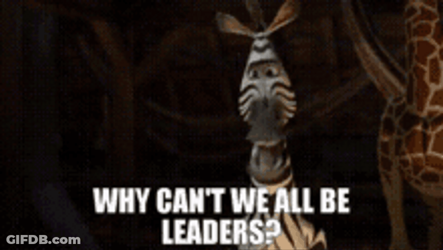Marty Asking About Leadership In Madagascar Movie GIF