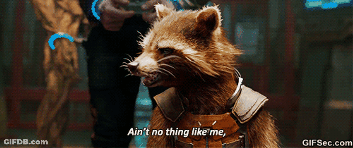 Marvel Rocket Nothing Like Me GIF
