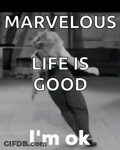 Marvelous Life Good I'm Ok GIF